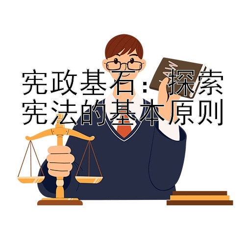 宪政基石：探索宪法的基本原则