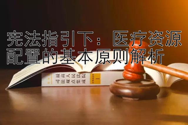 宪法指引下：医疗资源配置的基本原则解析