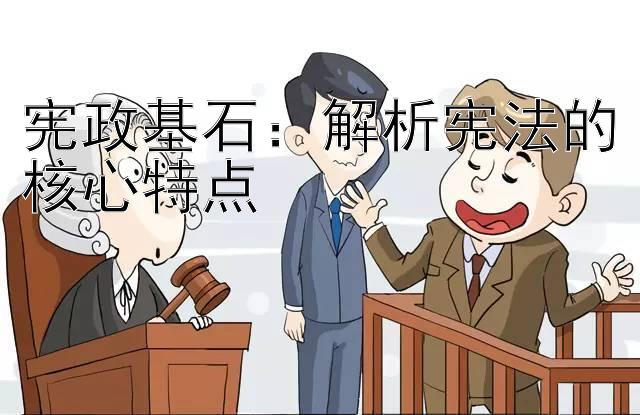 宪政基石：解析宪法的核心特点