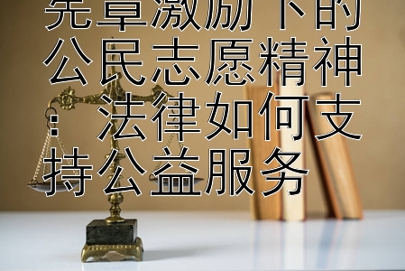 宪章激励下的公民志愿精神：法律如何支持公益服务