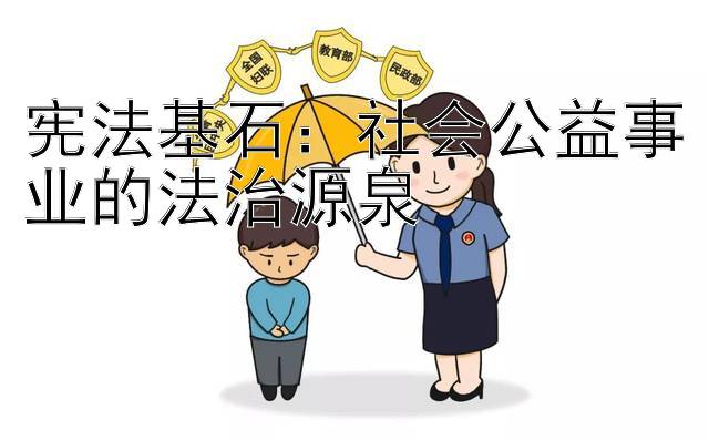 宪法基石：社会公益事业的法治源泉