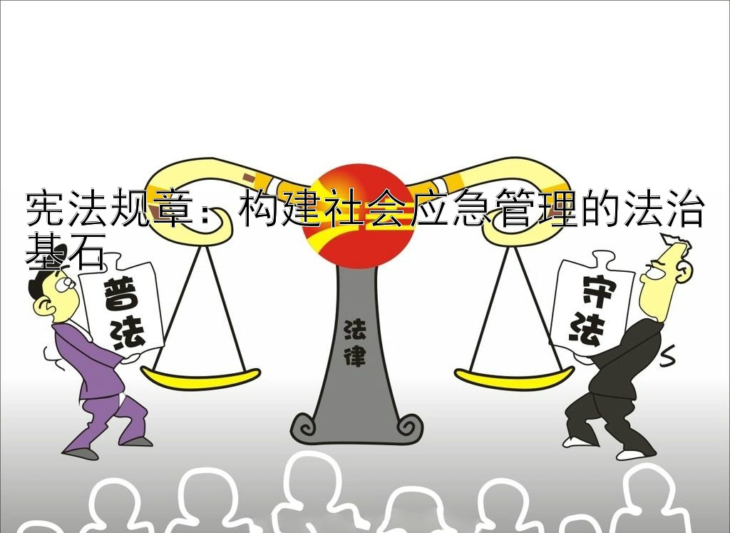 宪法规章：构建社会应急管理的法治基石