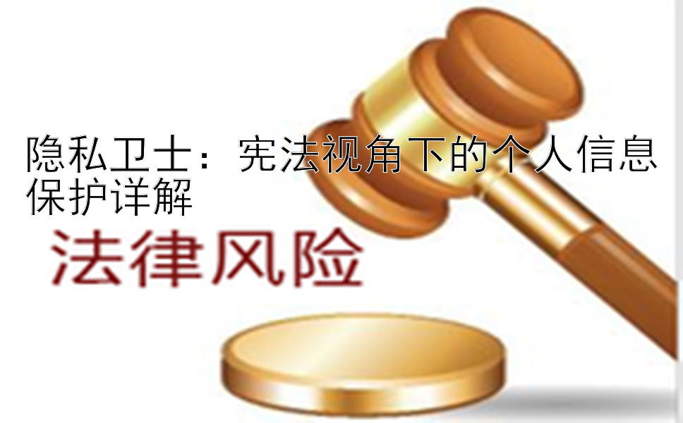 隐私卫士：宪法视角下的个人信息保护详解