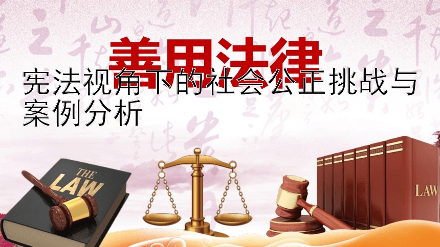 宪法视角下的社会公正挑战与案例分析