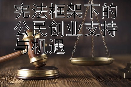 宪法框架下的公民创业支持与机遇