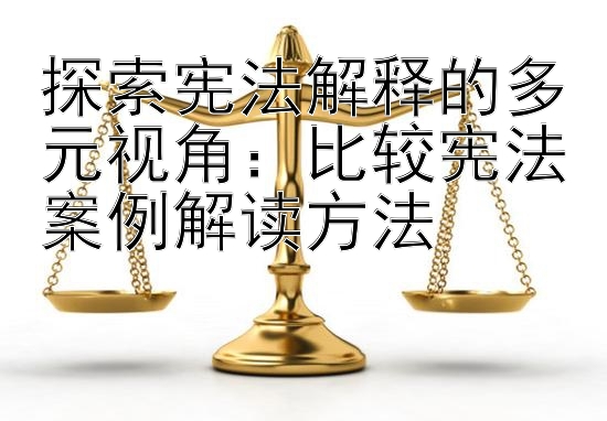 探索宪法解释的多元视角：比较宪法案例解读方法