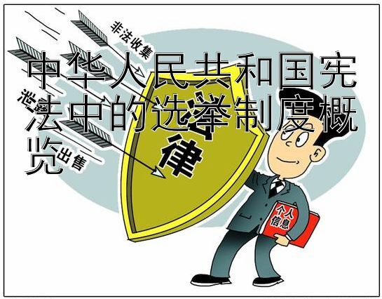 中华人民共和国宪法中的选举制度概览