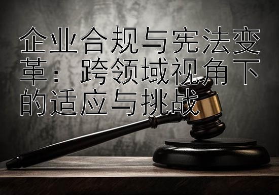 企业合规与宪法变革：跨领域视角下的适应与挑战