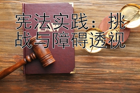 宪法实践：挑战与障碍透视