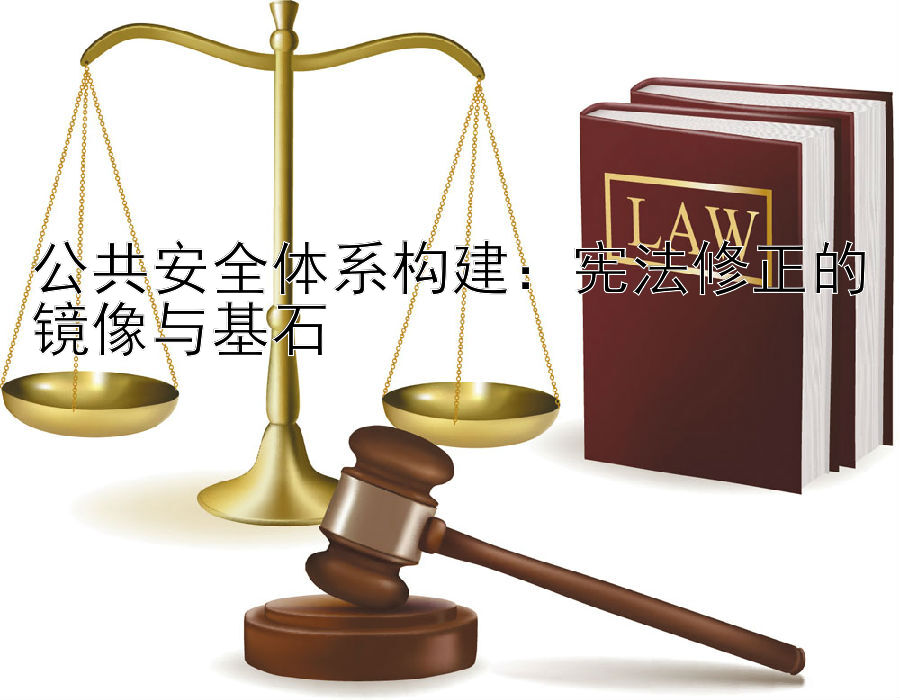 公共安全体系构建：宪法修正的镜像与基石