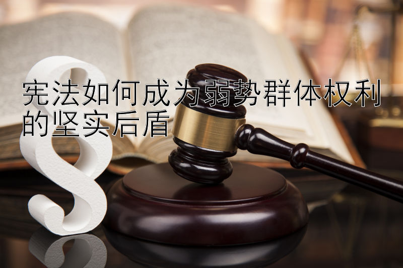 宪法如何成为弱势群体权利的坚实后盾