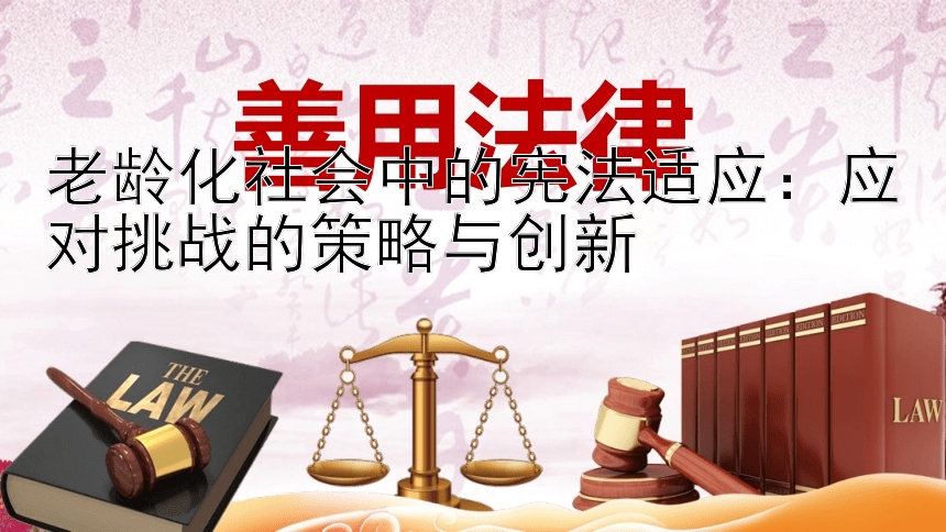 老龄化社会中的宪法适应：应对挑战的策略与创新