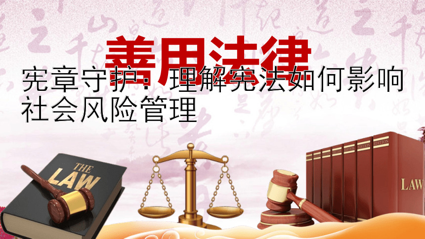 宪章守护：理解宪法如何影响社会风险管理