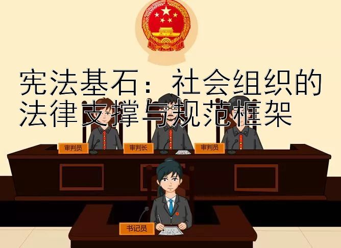 宪法基石：社会组织的法律支撑与规范框架