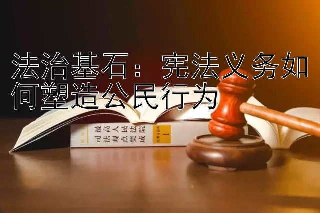 法治基石：宪法义务如何塑造公民行为