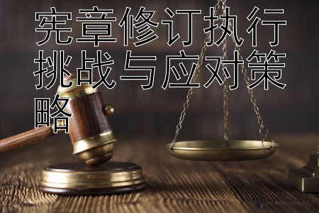 宪章修订执行挑战与应对策略