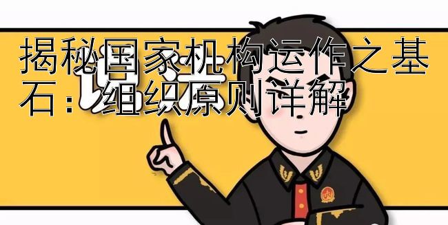 揭秘国家机构运作之基石：组织原则详解