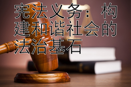 宪法义务：构建和谐社会的法治基石