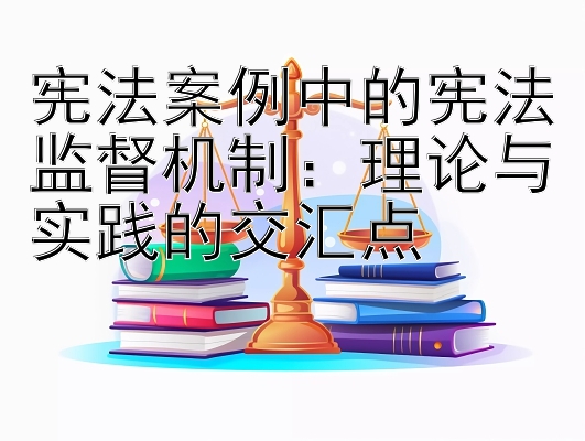 宪法案例中的宪法监督机制：理论与实践的交汇点