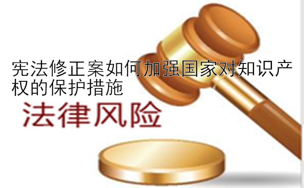 宪法修正案如何加强国家对知识产权的保护措施