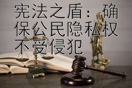 宪法之盾：确保公民隐私权不受侵犯