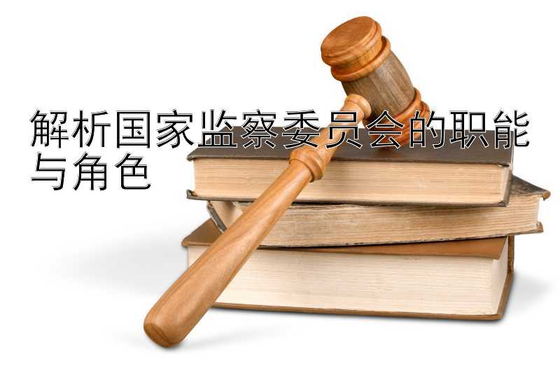 解析国家监察委员会的职能与角色