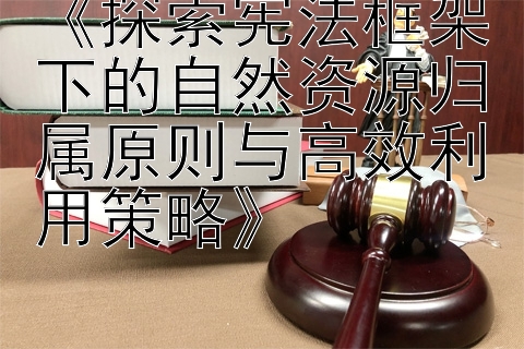 《探索宪法框架下的自然资源归属原则与高效利用策略》