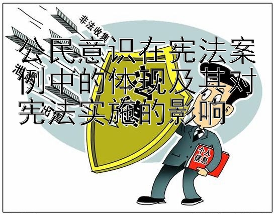 公民意识在宪法案例中的体现及其对宪法实施的影响