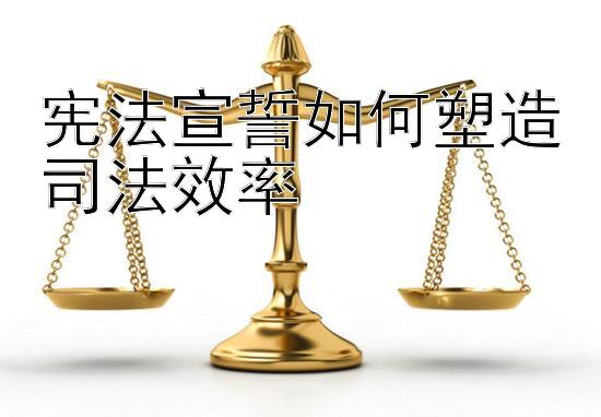 宪法宣誓如何塑造司法效率