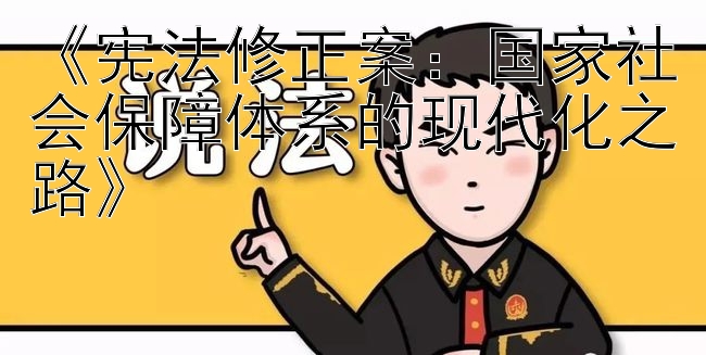 《宪法修正案：国家社会保障体系的现代化之路》