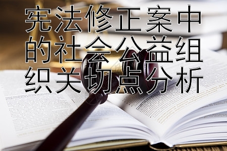 宪法修正案中的社会公益组织关切点分析