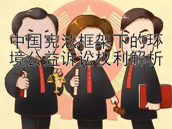 中国宪法框架下的环境公益诉讼权利解析