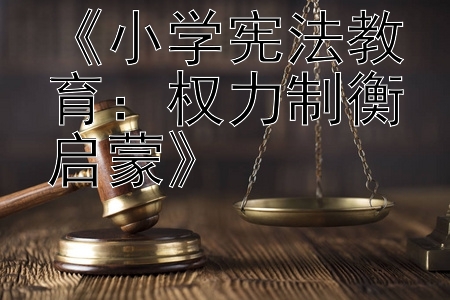 《小学宪法教育：权力制衡启蒙》