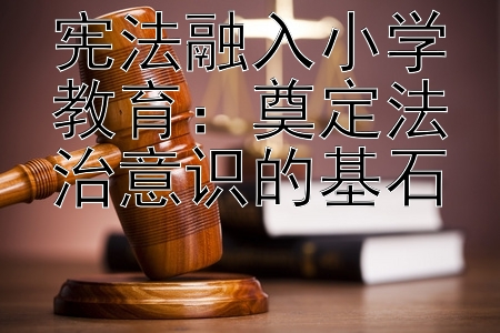 宪法融入小学教育：奠定法治意识的基石