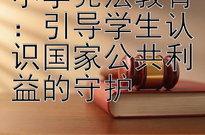 小学宪法教育：引导学生认识国家公共利益的守护